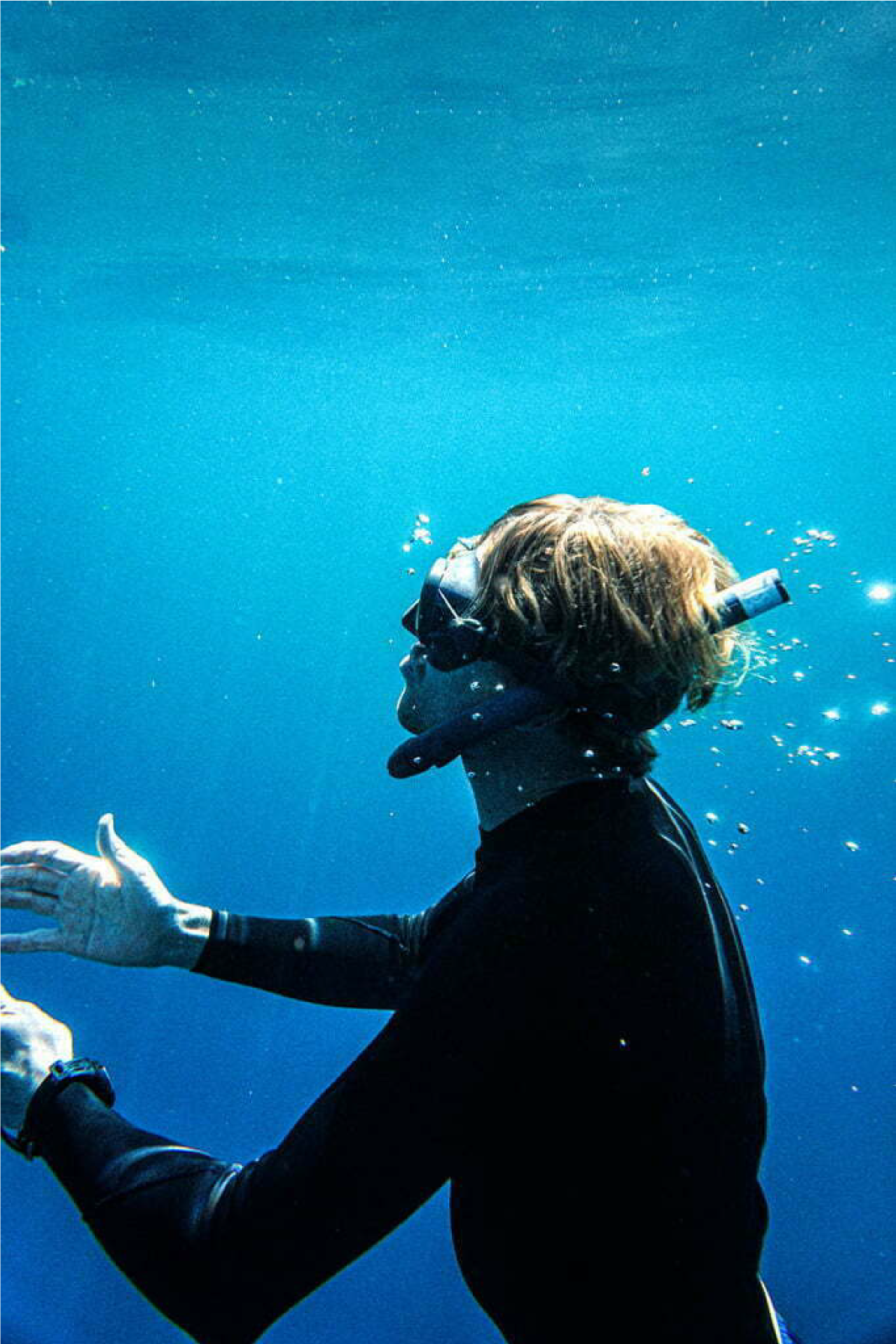 Introduction class to discover freediving